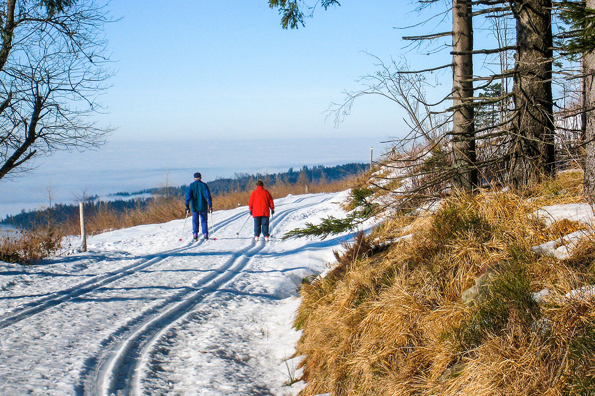 Loipenparadies Loipenparadies