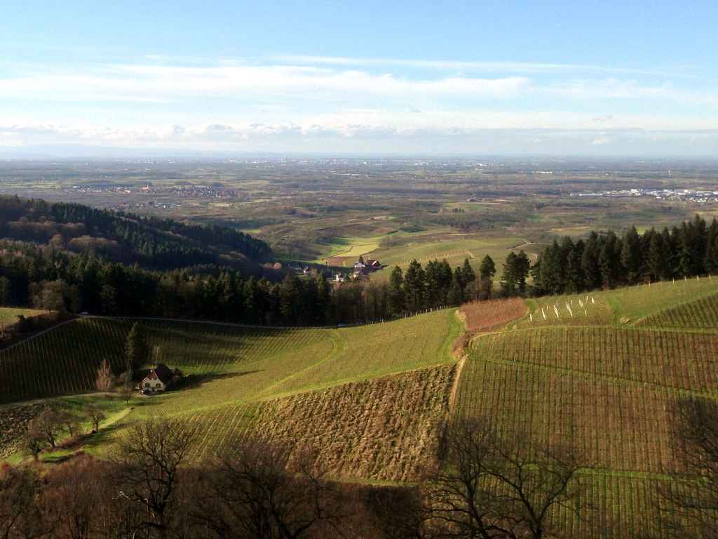 Rheinebene Rheinebene