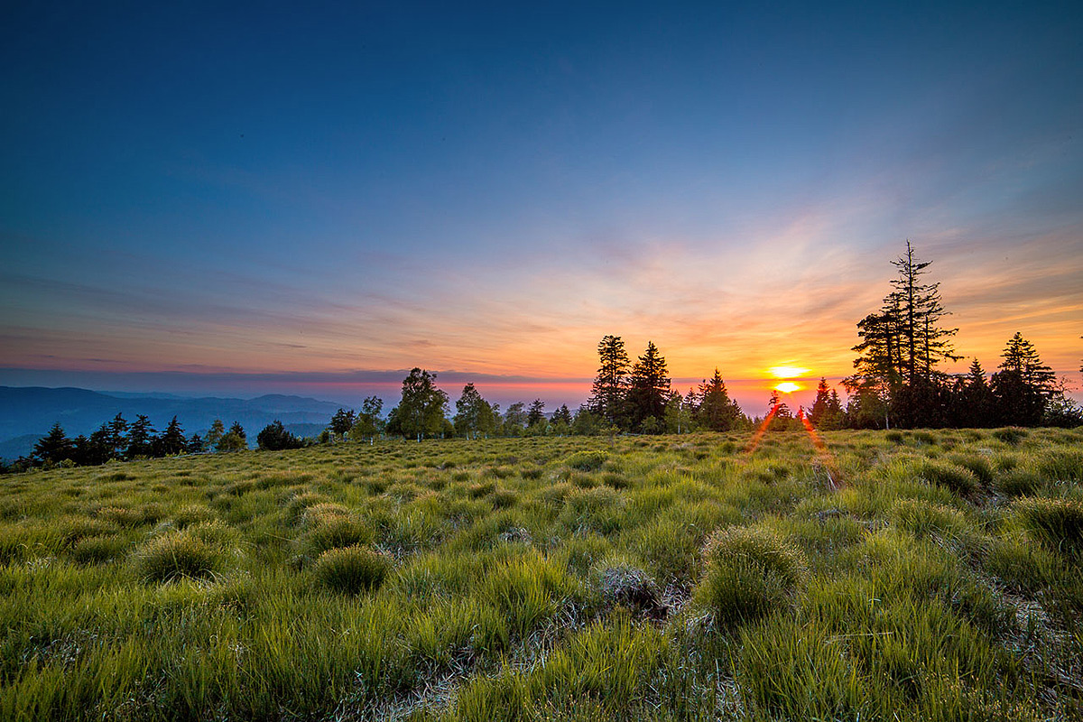 Nationalpark Schwarzwald Nationalpark Schwarzwald