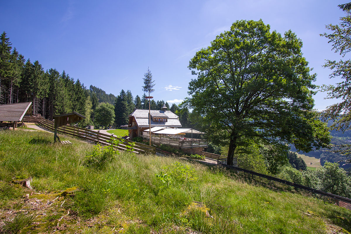 Renchtalhütte Renchtalhütte