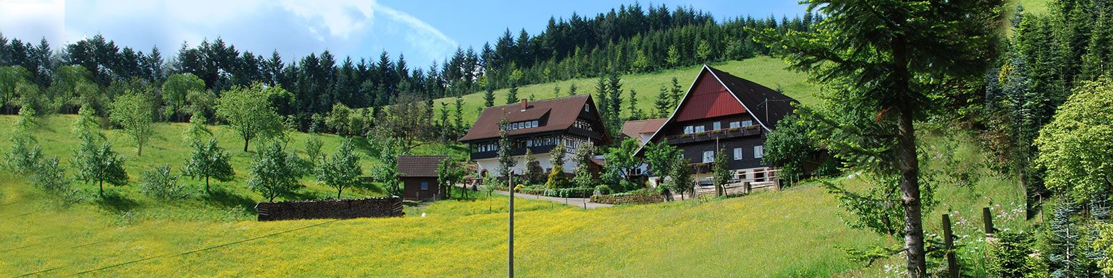 Fiegenhof im Schwarzwald
